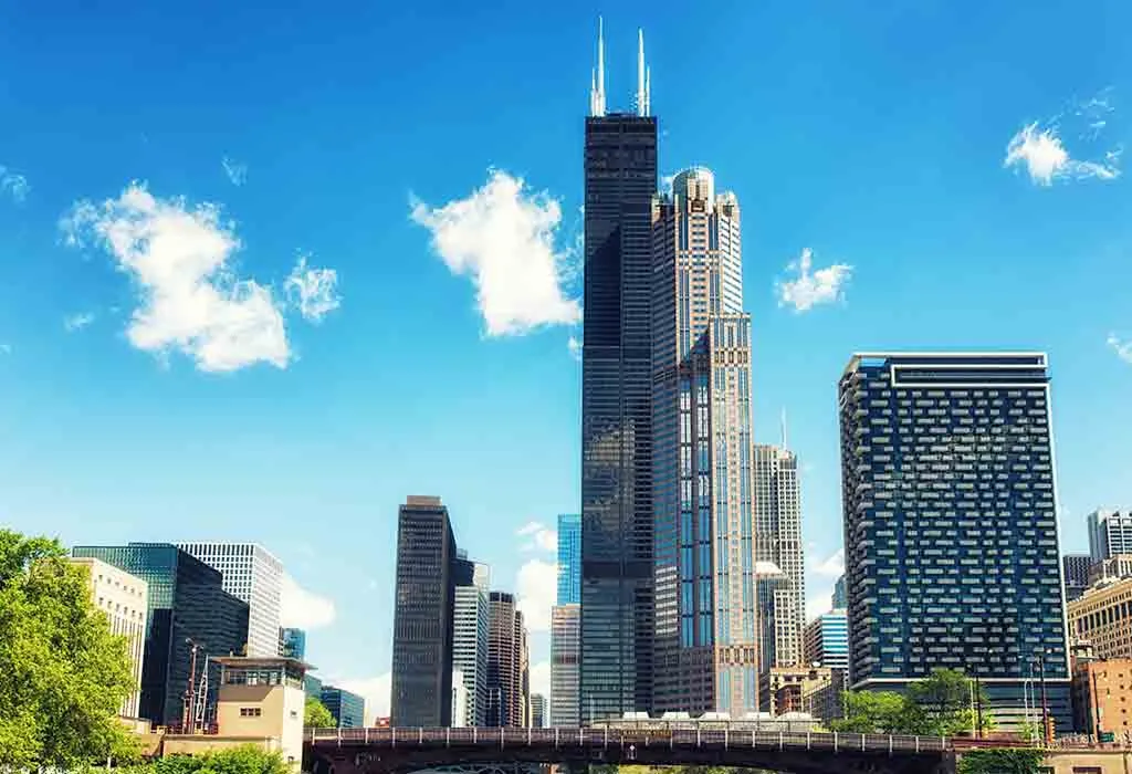 Amaze at Chicago's Skyline From Willis Tower