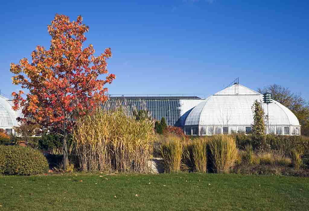 Enjoy the Garfield Park Conservatory