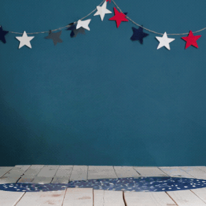 Fourth of july animated gif
