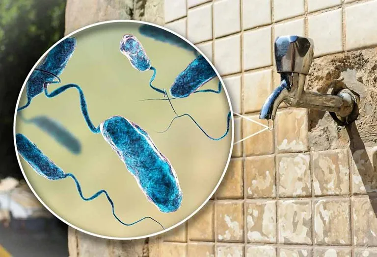 Cholera: Causes, Symptoms, Treatment, and Vaccination