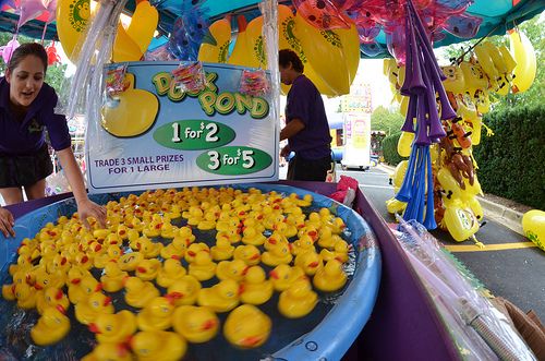 Lucky Duck Pond