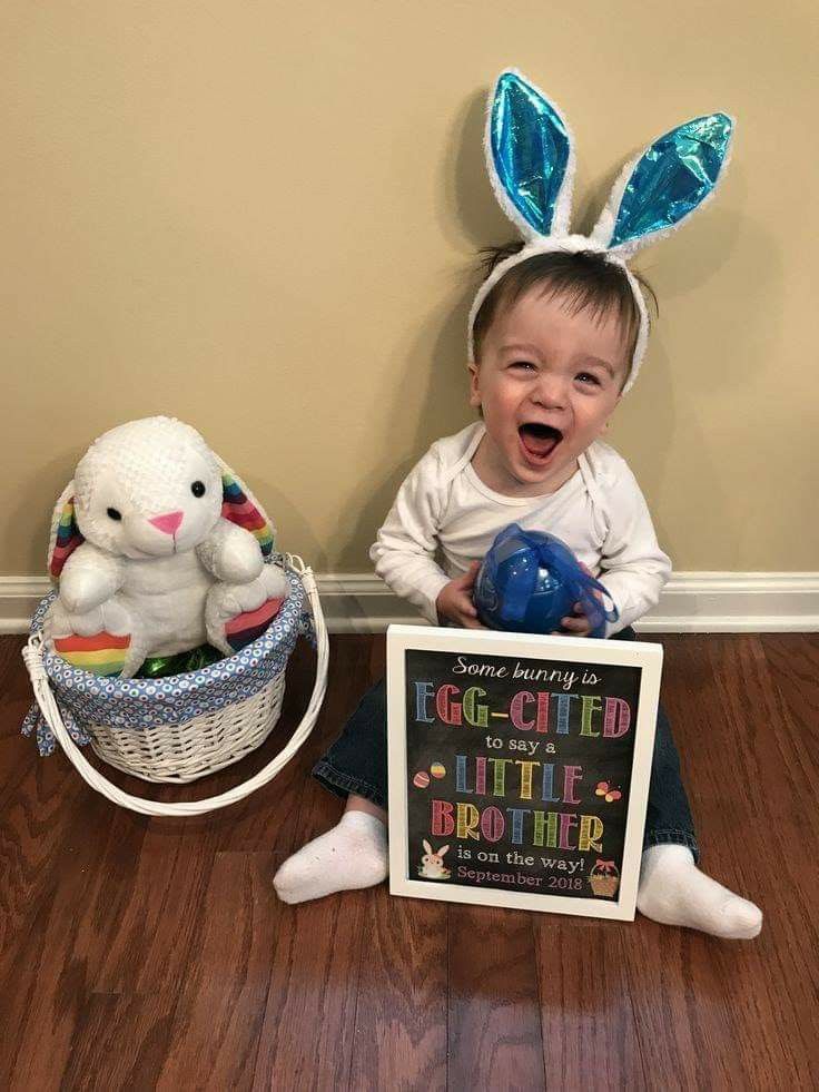 Eggcited Announcement Eggcited Announcement