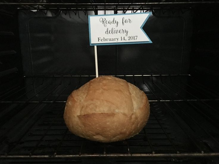 Classic Bun in the Oven Classic Bun in the Oven