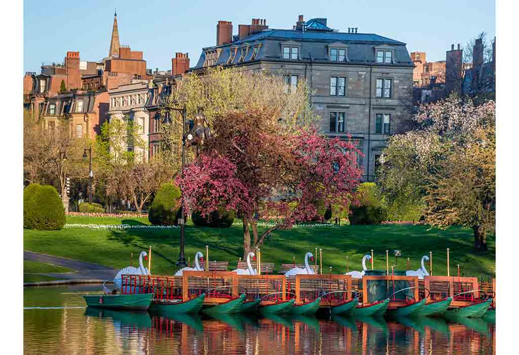 Boston Public Garden and Swan Boats