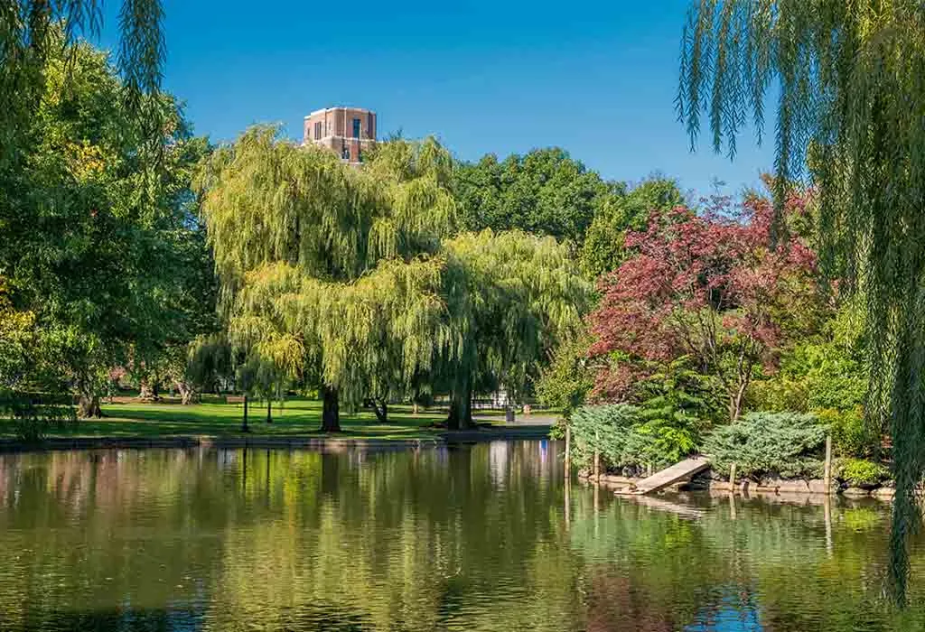 Boston Common and Frog Pond