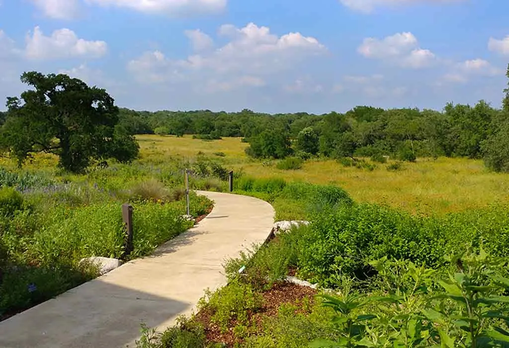 Explore the Lady Bird Johnson Wildflower Center