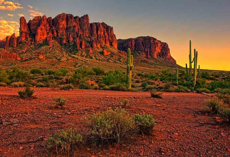 20 Things to Do in Phoenix With Kids