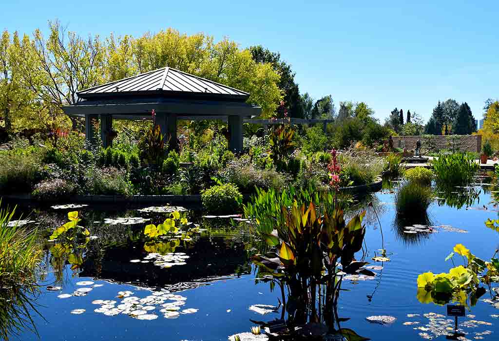 Denver Botanic Gardens