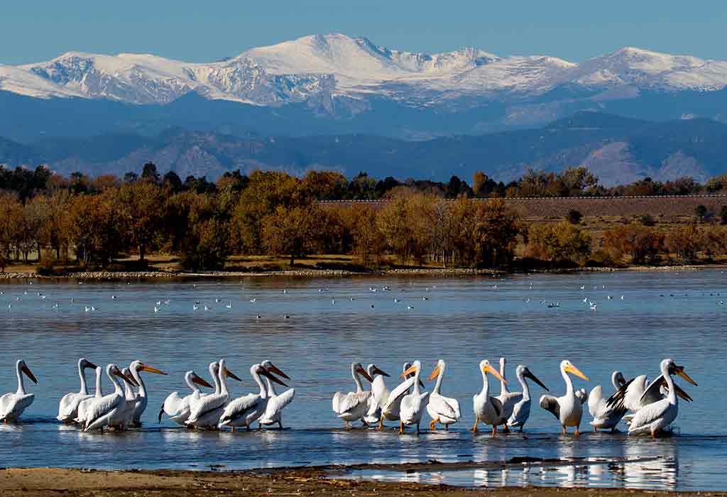 Cherry Creek State Park