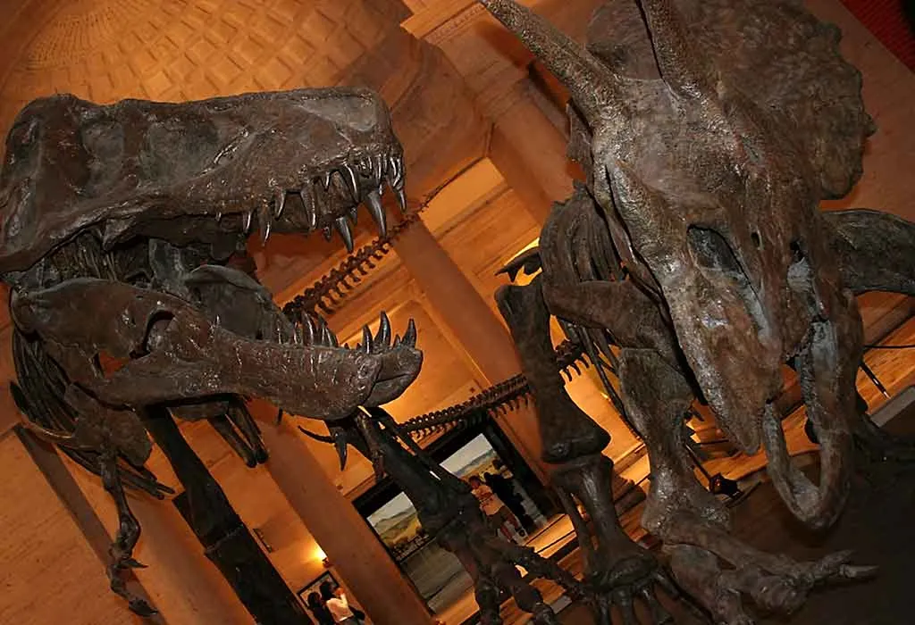 Natural History Museum of Los Angeles
