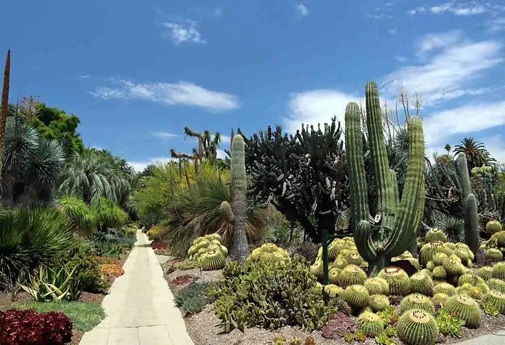 Los Angeles County Arboretum & Botanic Garden