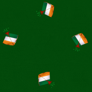 diane weiss independence day gif