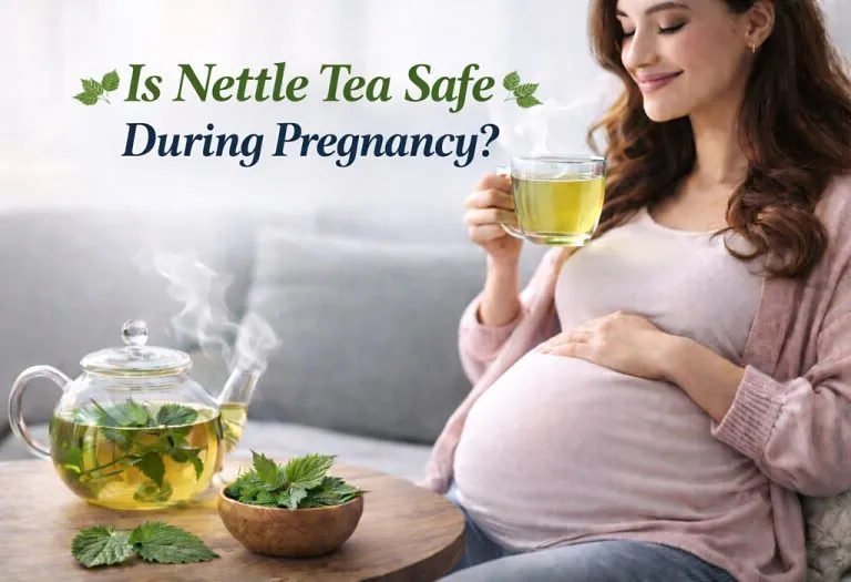 Nettle Tea in Pregnancy: Safety, Benefits, Side Effects, and Recipe