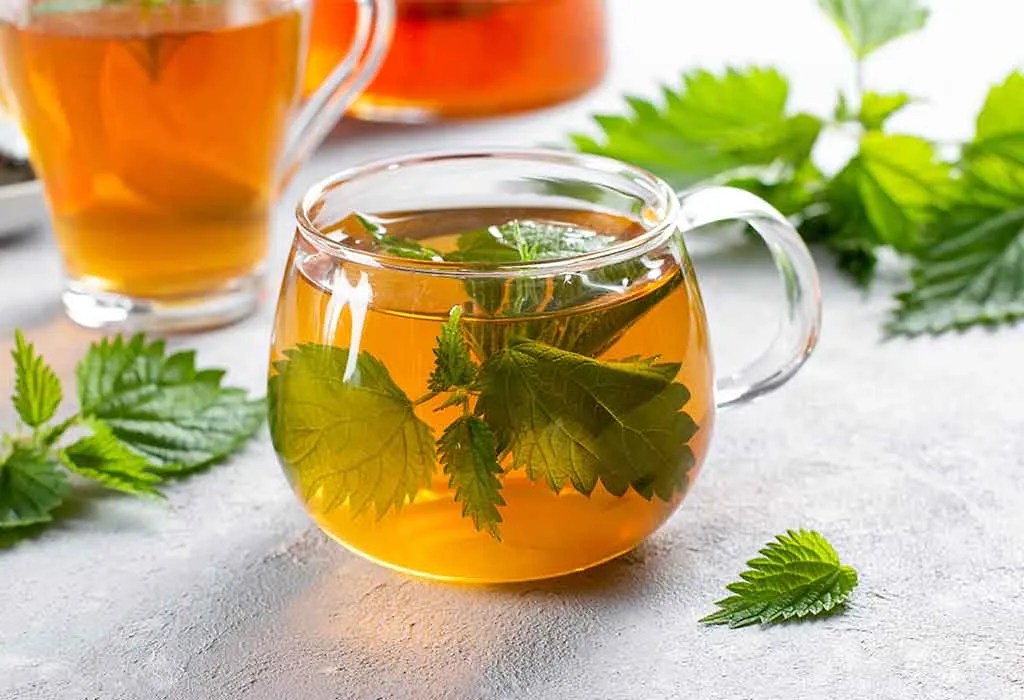 What Is Nettle Tea? What Is Nettle Tea?