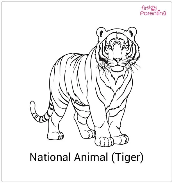 20 Indian Flag Coloring Pages (Independence & Republic Day) Free