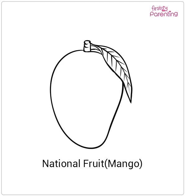 National Fruit (Mango) of India Colouring Page
