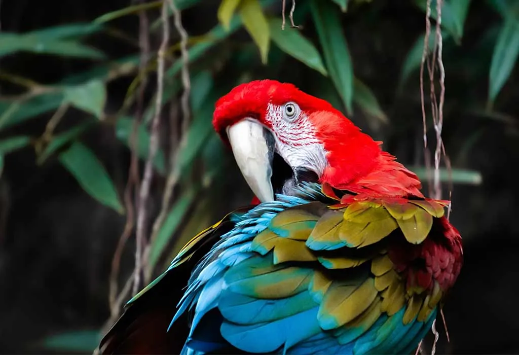 Audubon Aquarium of the Americas