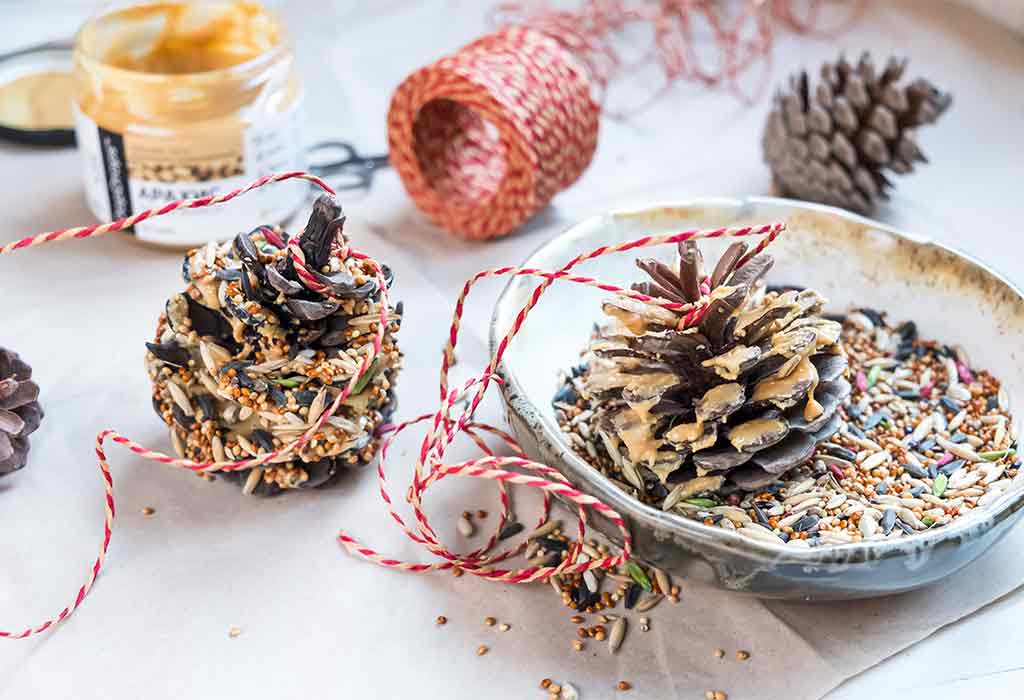Pine Cone Bird Feeder