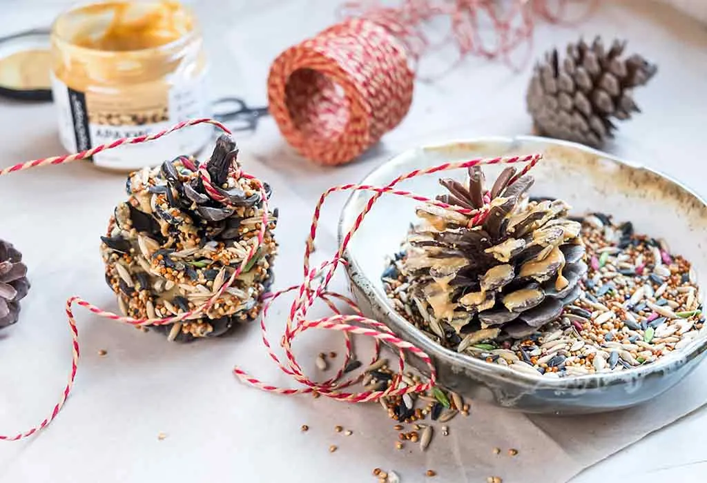 Pine Cone Bird Feeder