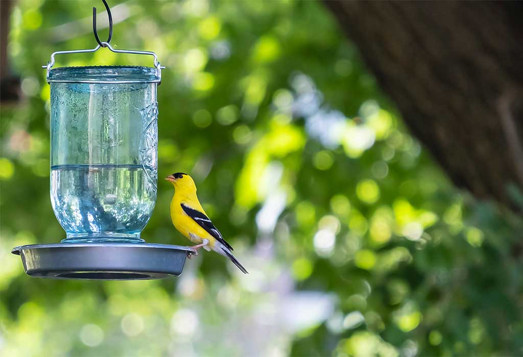 Mason Jar Lid Feeder