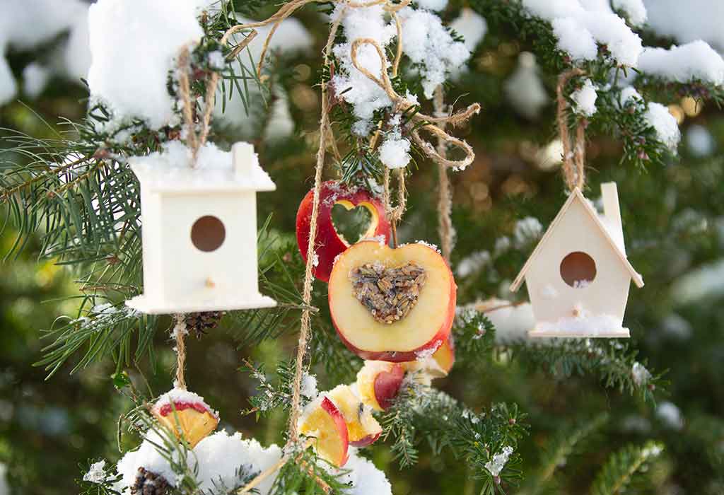 Apple Bird Feeder