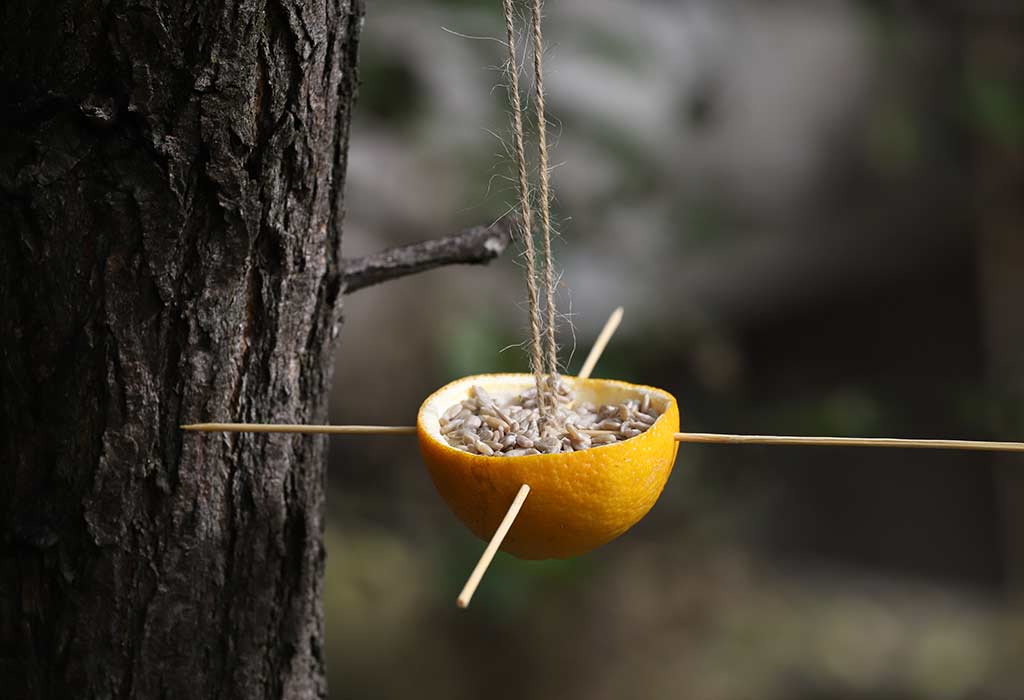 Grapefruit Bird Feeder