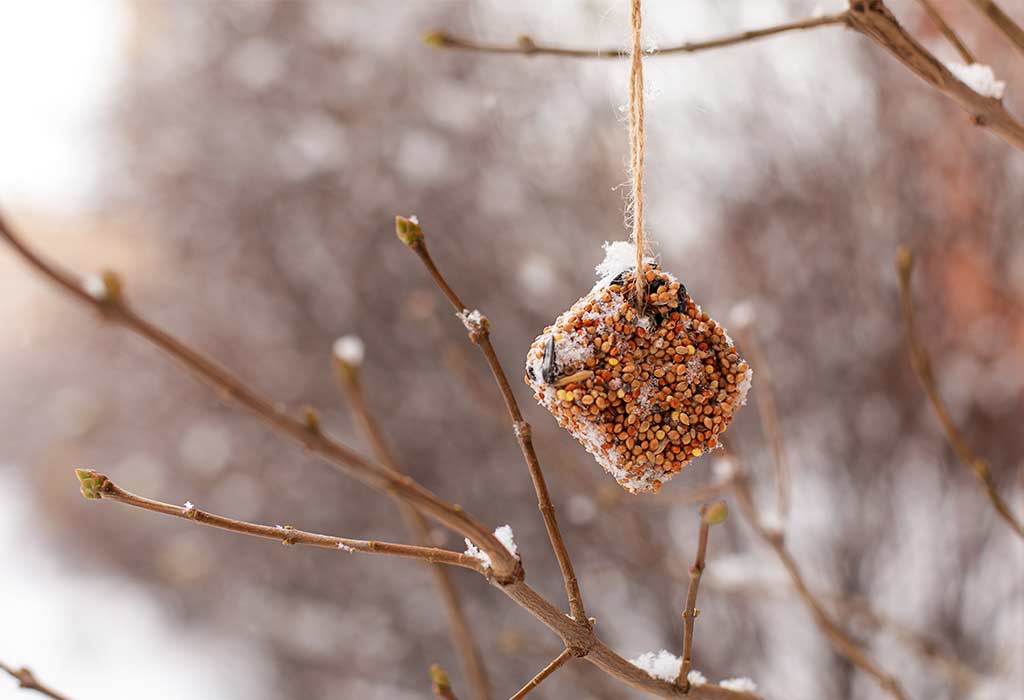 Bread Crumb Bird Feeder