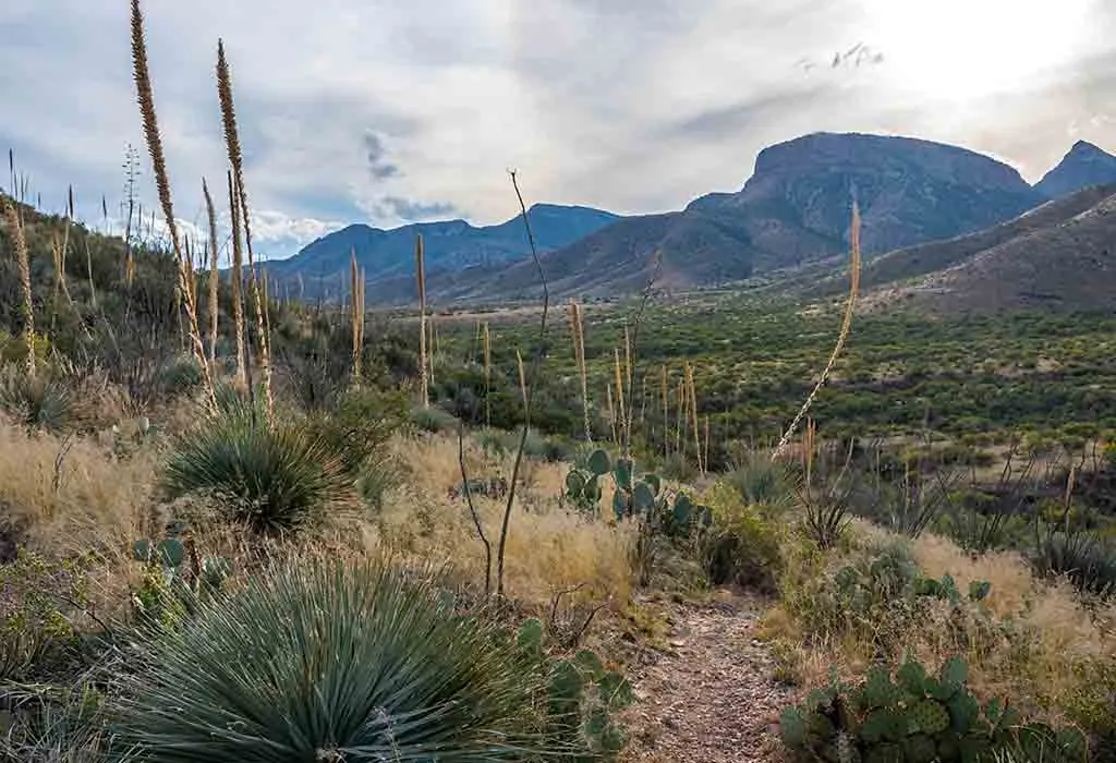 Kartchner Caverns State Park