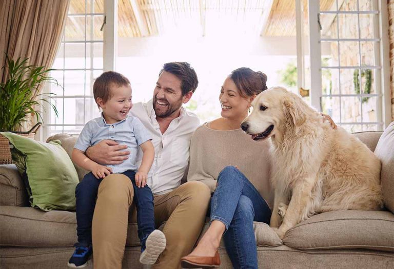 117 Dog Jokes for Kids to Laugh Out Loud