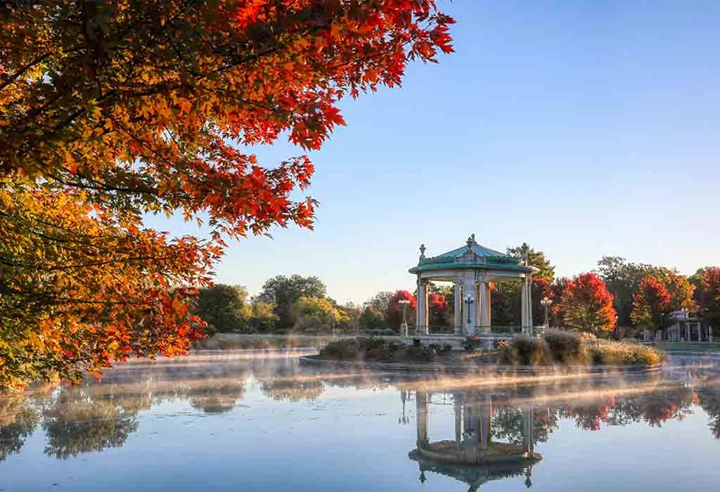 Forest Park