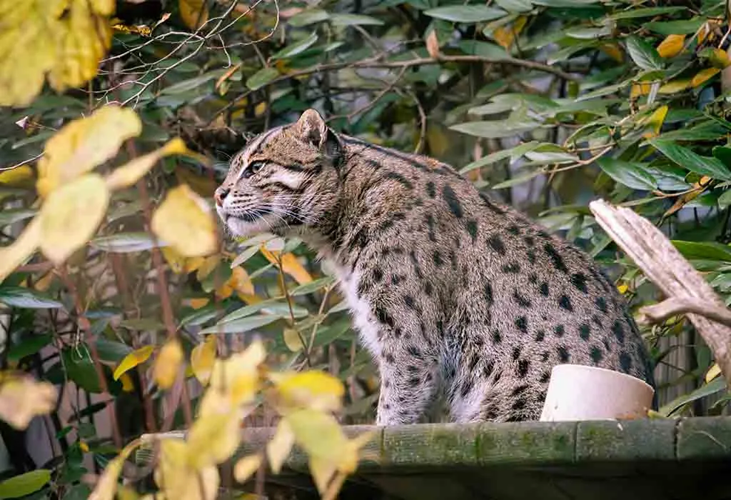 Smithsonian National Zoo