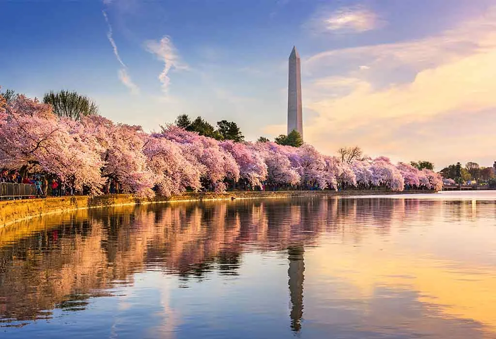 Tidal Basin