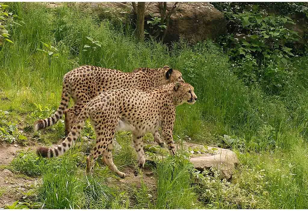 Philadelphia Zoo
