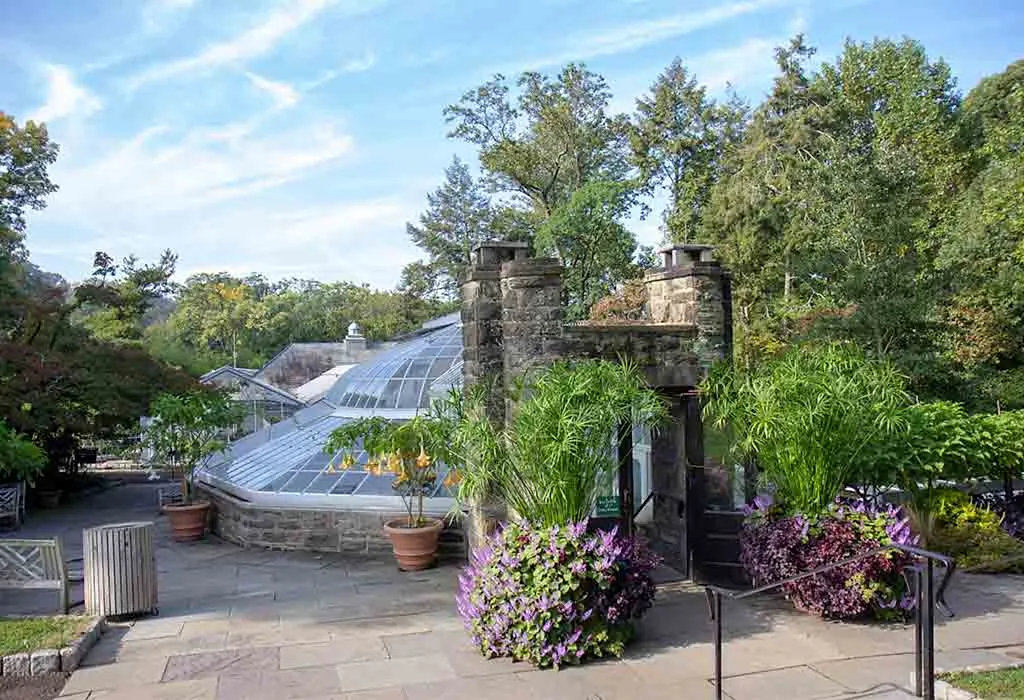 Morris Arboretum