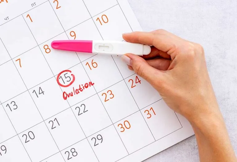 Can you get pregnant after ovulation understanding fertility