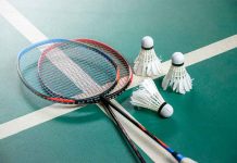 Essay On Badminton In Hindi