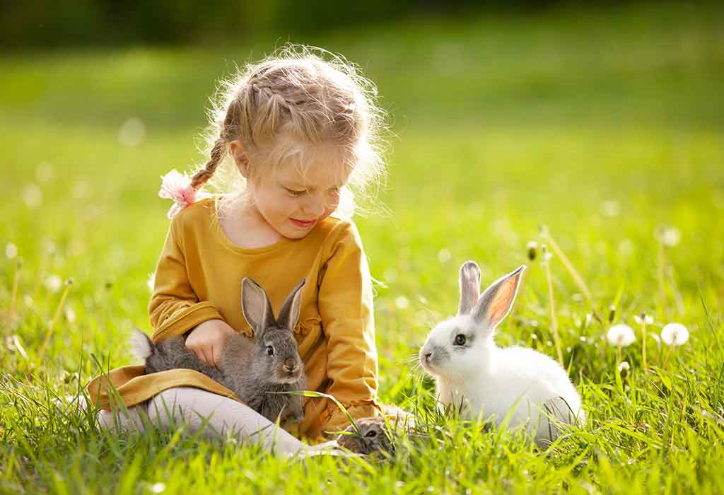Nature Walk and Touch