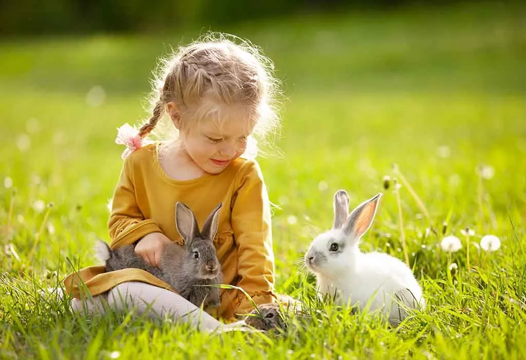 Nature Walk and Touch