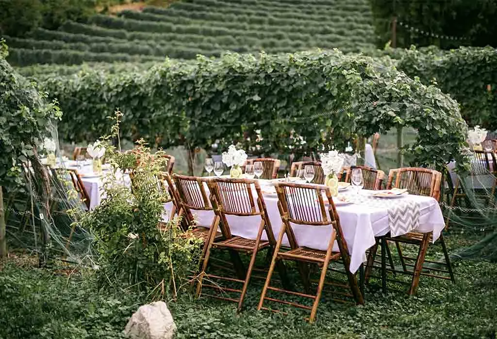 Places to Have a Baby Shower - Vineyard or Winery