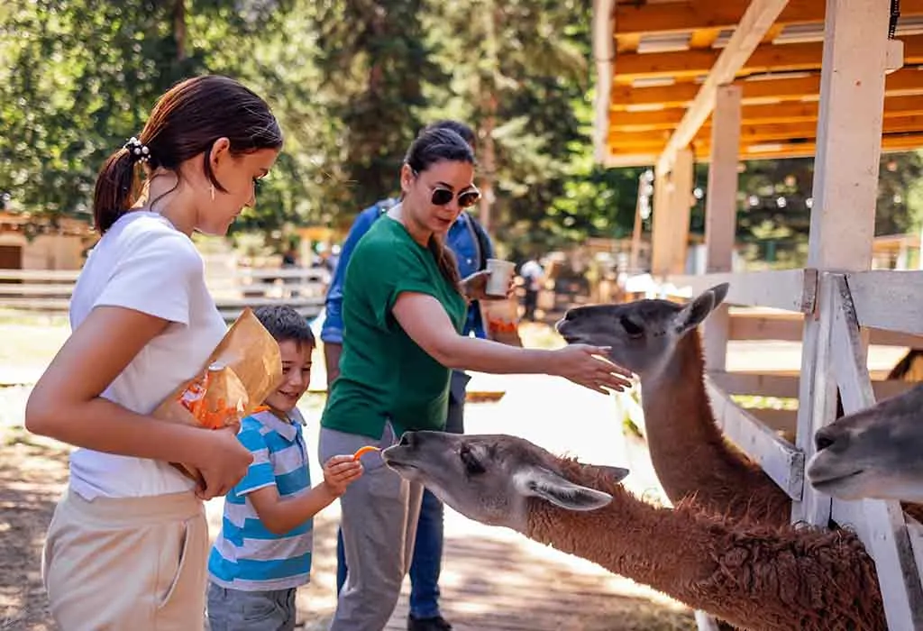 Places to Have a Baby Shower - Zoo or Aquarium