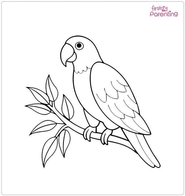 Parrot Bird Coloring Page