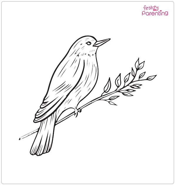 Realistic Bird Coloring Page
