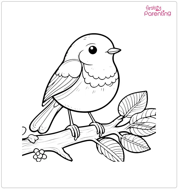 Robin Bird Coloring Page