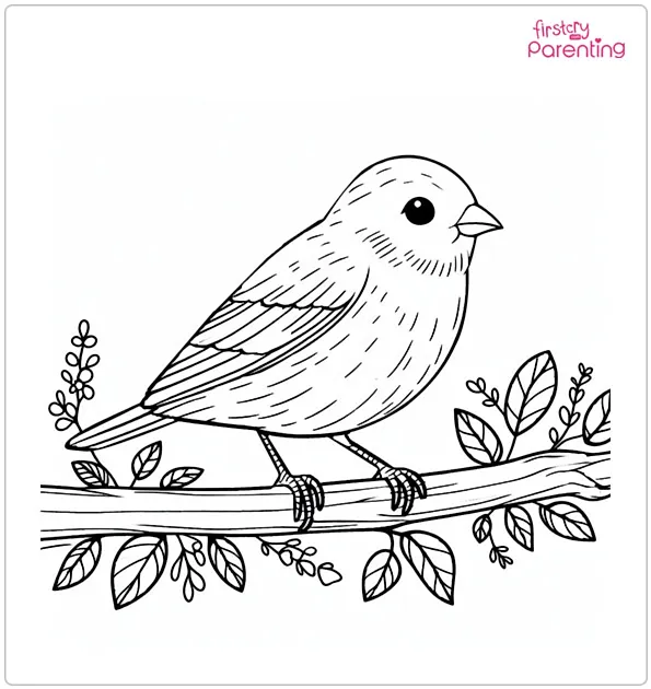 Canary Bird Coloring Page