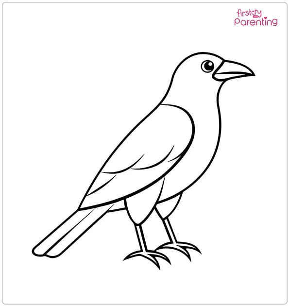 Crow Bird Coloring Page