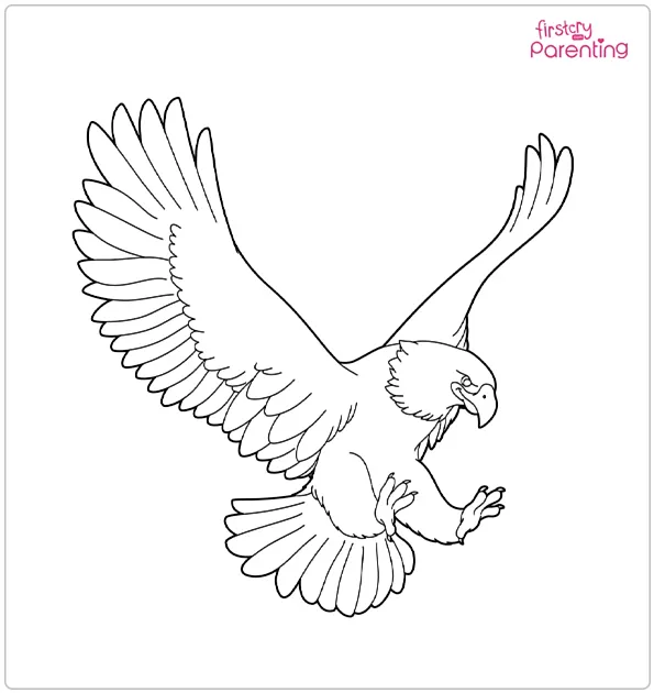Eagle Bird Coloring Page