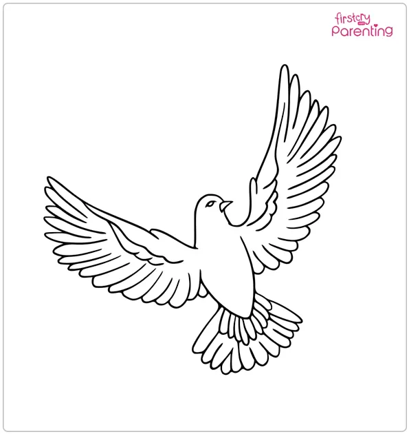 Dove Bird Coloring Page