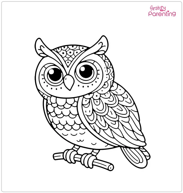 Owl Bird Coloring Page
