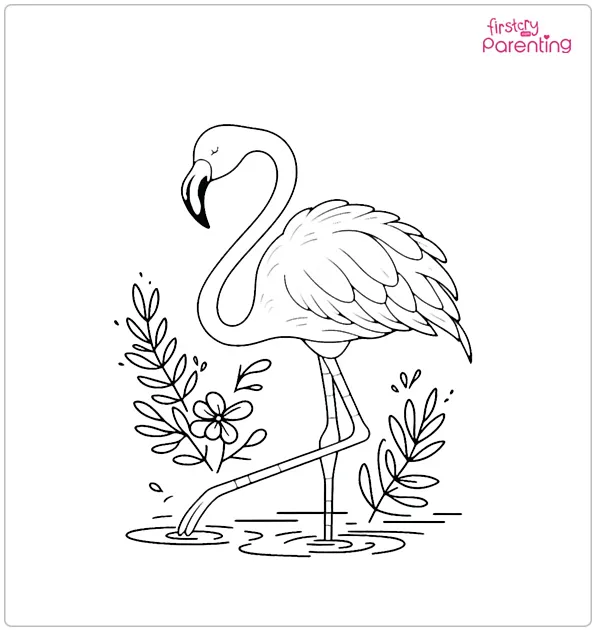 Flamingo Bird Coloring Page