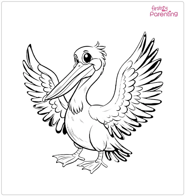 Pelican Bird Coloring Page